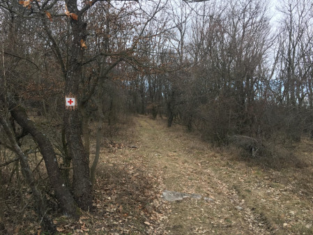 Új utakon az ötvenes távon